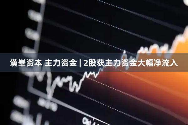 漢崋资本 主力资金 | 2股获主力资金大幅净流入