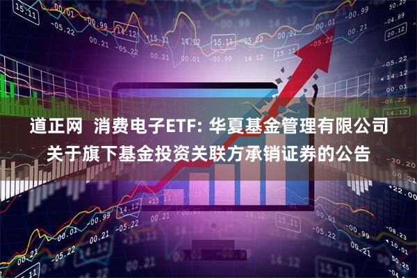 道正网  消费电子ETF: 华夏基金管理有限公司关于旗下基金投资关联方承销证券的公告