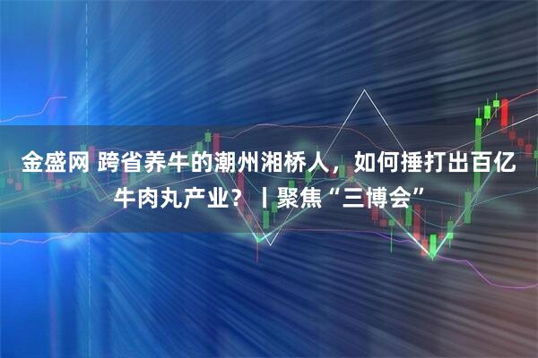 金盛网 跨省养牛的潮州湘桥人，如何捶打出百亿牛肉丸产业？丨聚焦“三博会”
